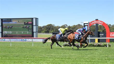 Australian horse racing fields, track and weather information  .